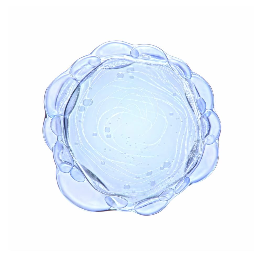 Niacinamide